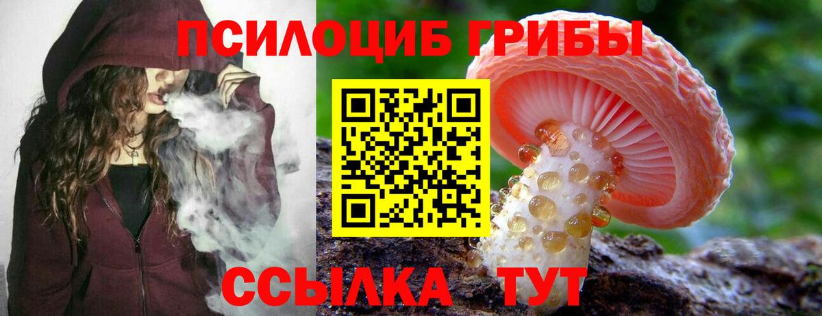 Галлюциногенные грибы GOLDEN TEACHER Верхняя Салда